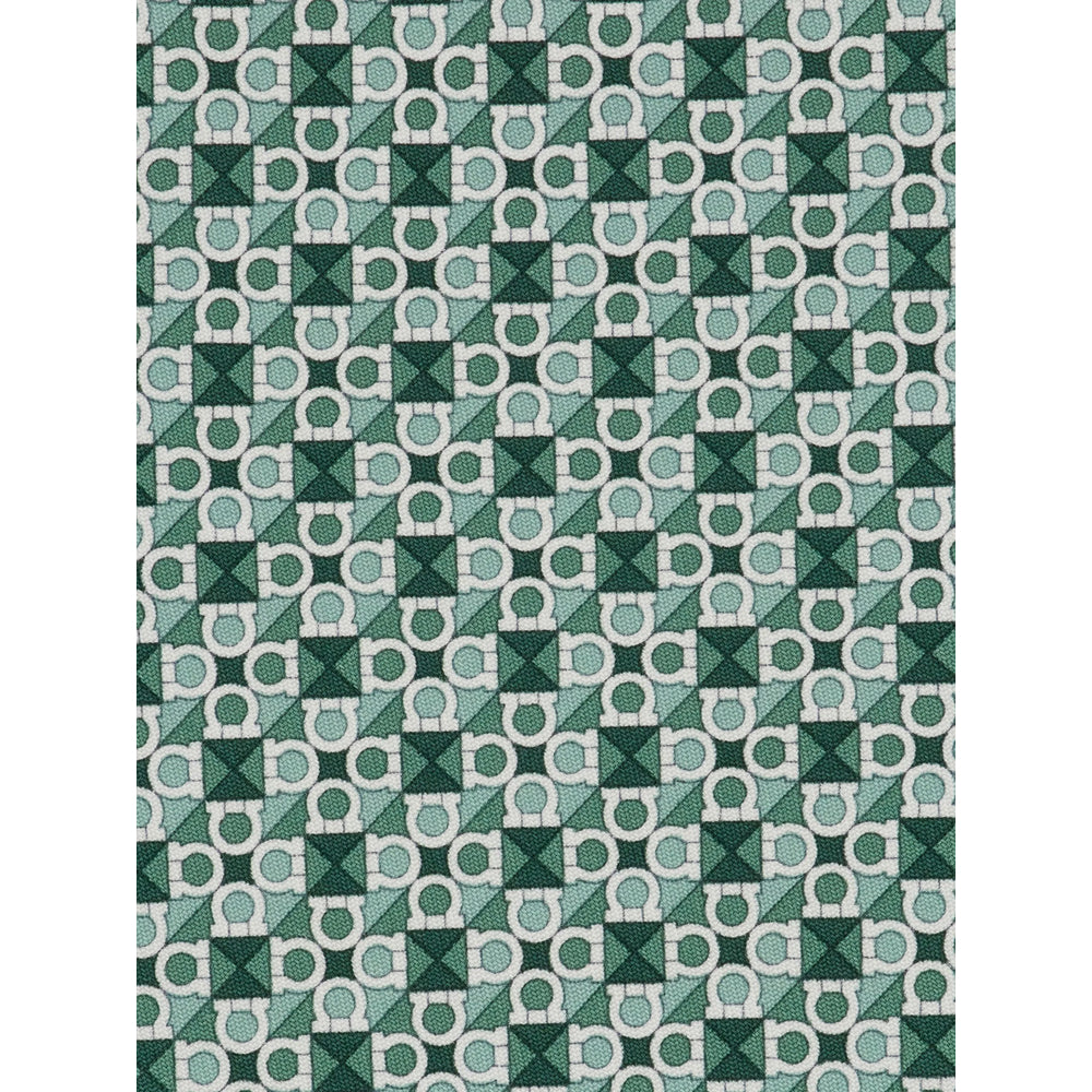 Ferragamo Ties - Green, White | 6965e912312d7416a5e757d0d3719198f85f4c88