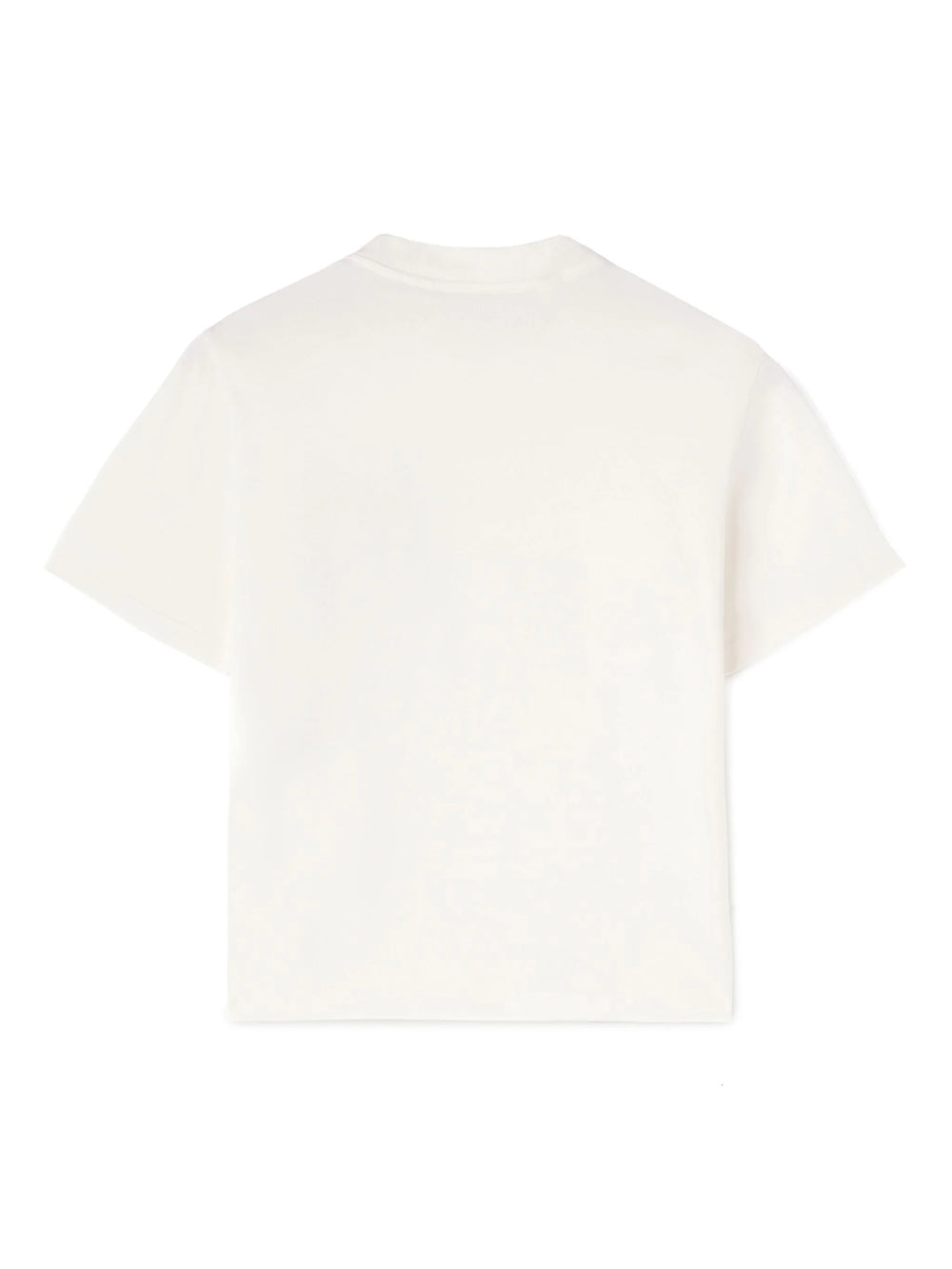 T-shirt with embroidery