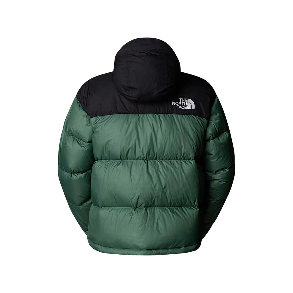 The North Face Outerwears - Green, Black | a1b5f064135ba8fe934f8a1dac5b5503b784d0a3