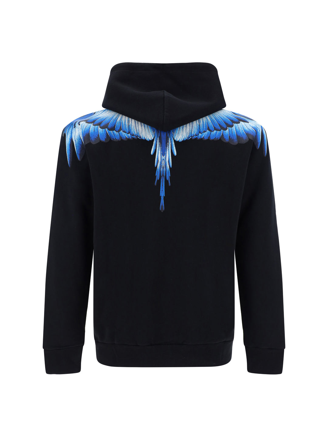 ICON WINGS REGULAR HOODIE