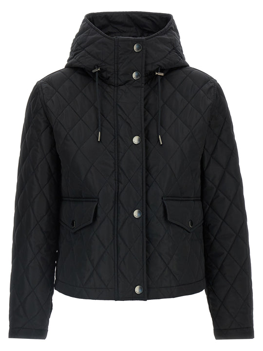 Pembroke Puffer Jackets Black