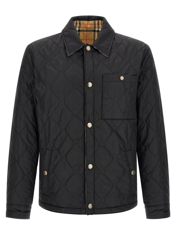 Brighton Puffer Jackets Black