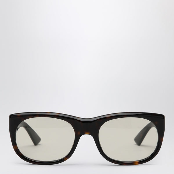 Sl 815 Romy Sunglasses Dark Havana/Light Yellow