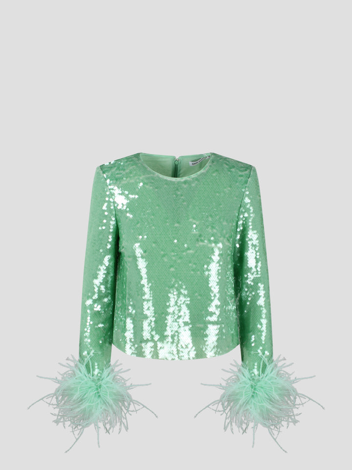 Sequin feather top