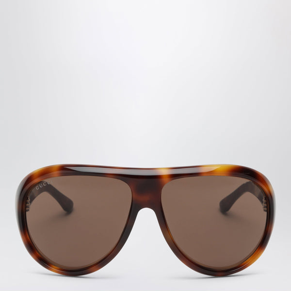 Havana Aviator Sunglasses