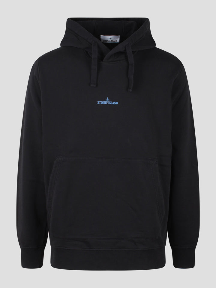 Logo hoodie