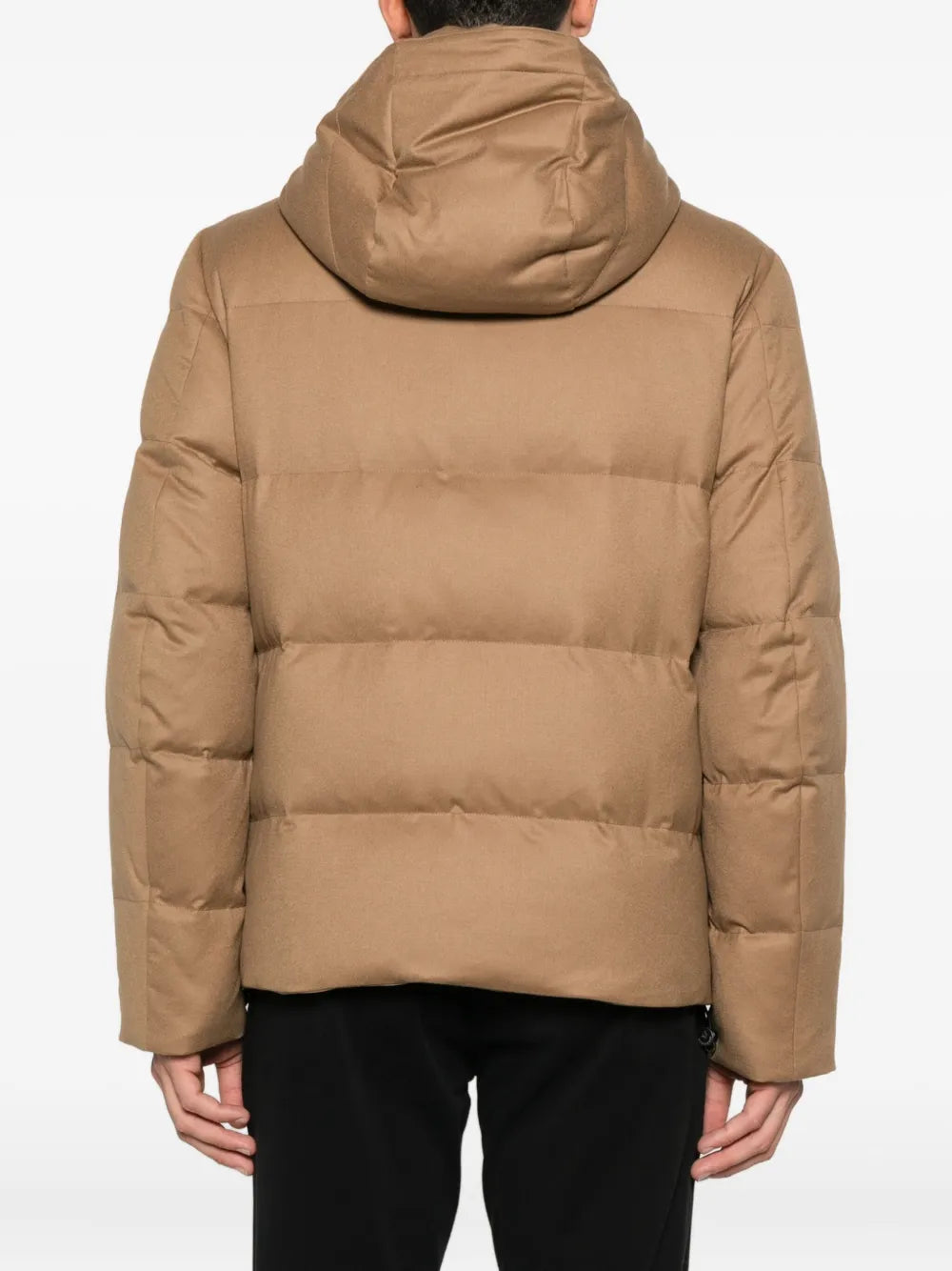 Montecore Padded - Brown | 28b0b19a4930b2d2590ef1ef522cb1fdeb328b08