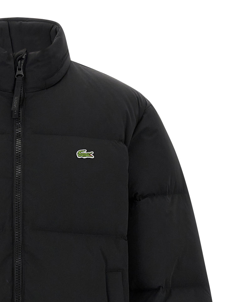 Lacoste Logo Down Jacket Puffer Jackets - Black | 69df0a2e626694bcb3995304941347591be9235f