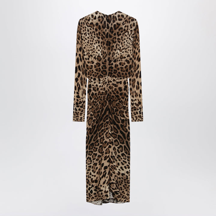 Dolce&Gabbana Apparel & Accessories - Brown | 8746ab4734b3b61df14fe450619f5501b313f7fc