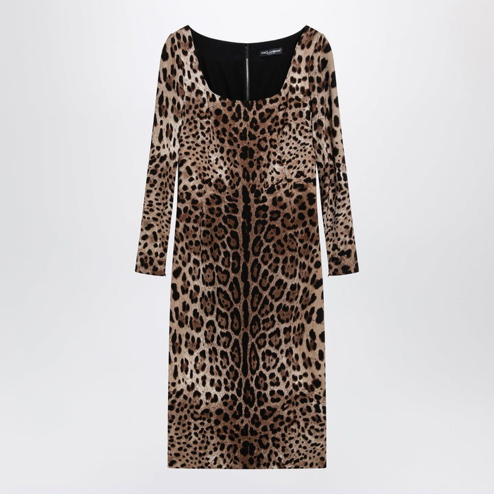 Dolce&Gabbana Apparel & Accessories - Brown | f403429bb55789ff3056b6a175c61b224e2d10e9