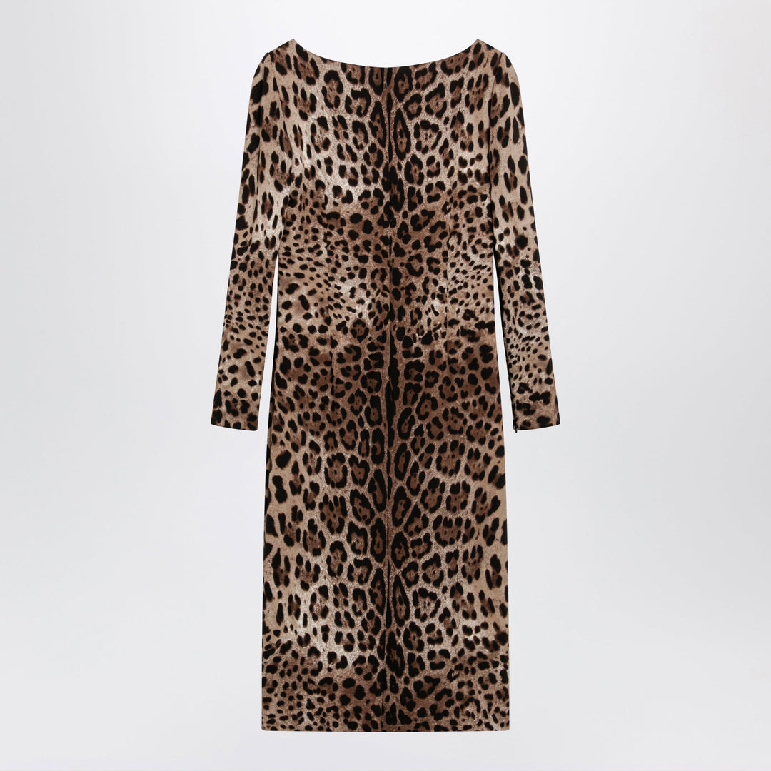 Dolce&Gabbana Apparel & Accessories - Brown | 3b505921e8b7c9cc5cacdaa6b2c1a00974d184a3