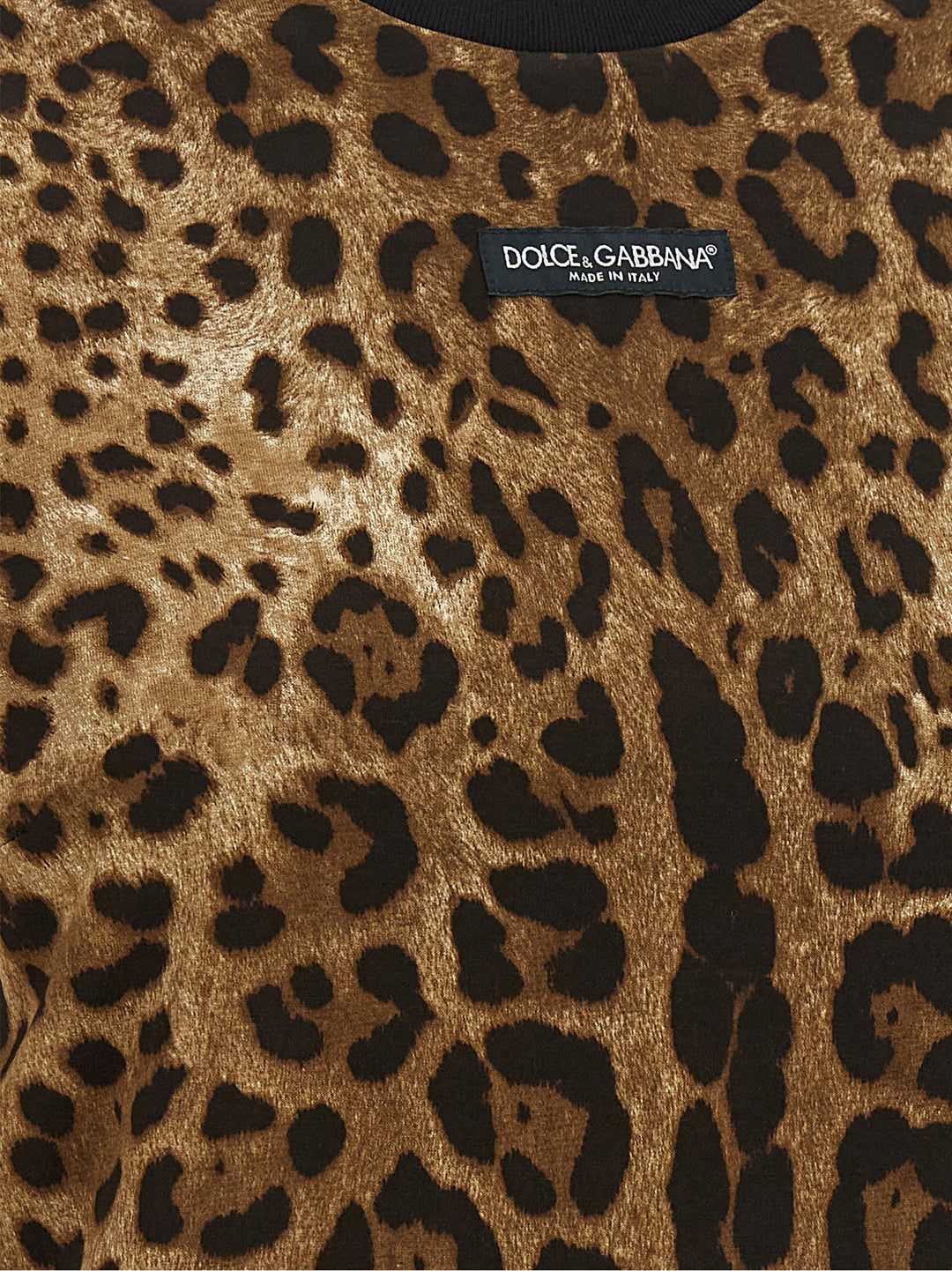 Dolce & Gabbana Leo T-shirt - Brown | 7eaa48d649a49e9be776d34abb189e79ad69db52