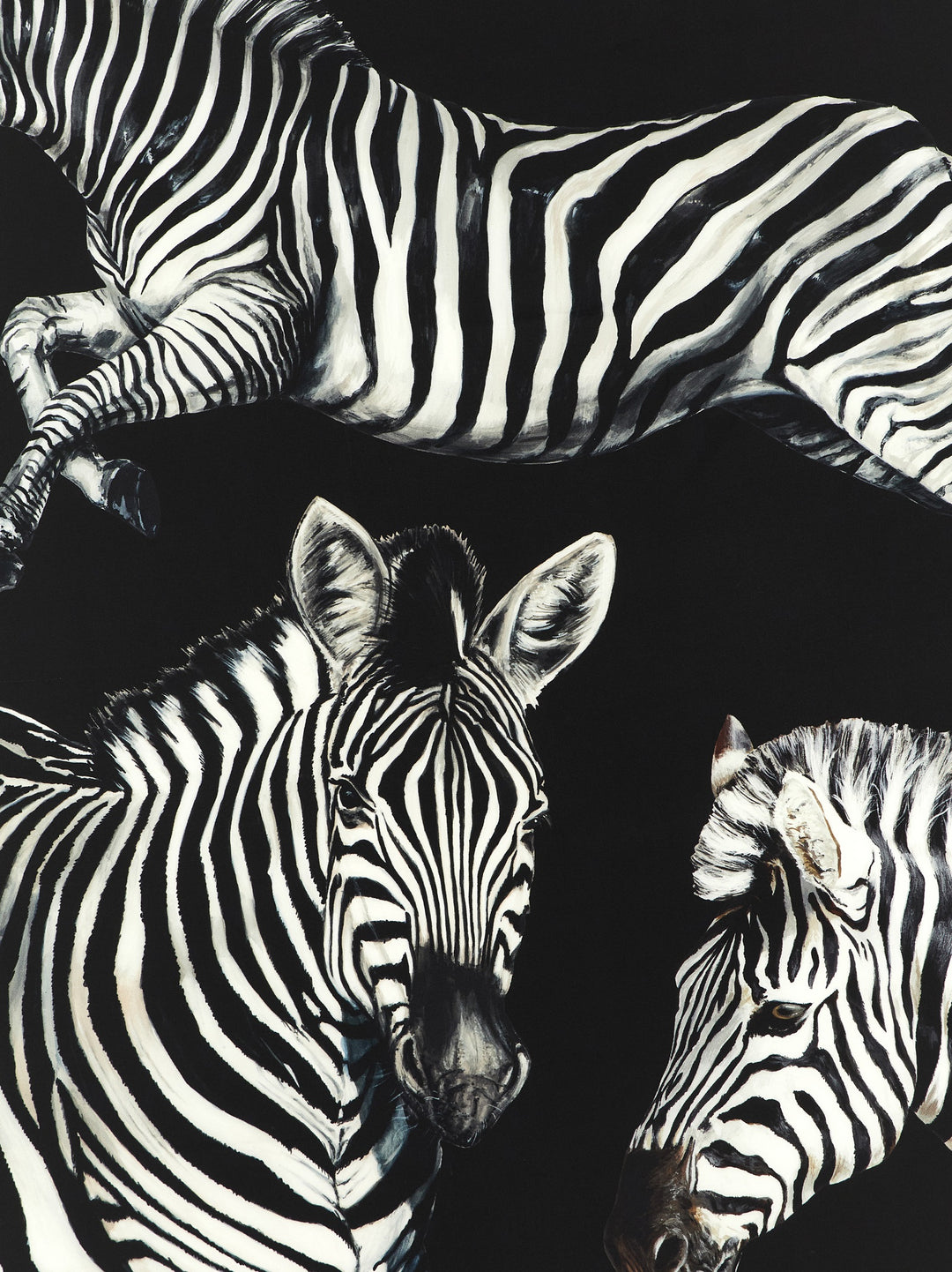 Dolce & Gabbana Zebra Print Scarf Scarves and Foulards - White/Black | 2706c8aa5b70465e8744f13b003eb01581b66a50