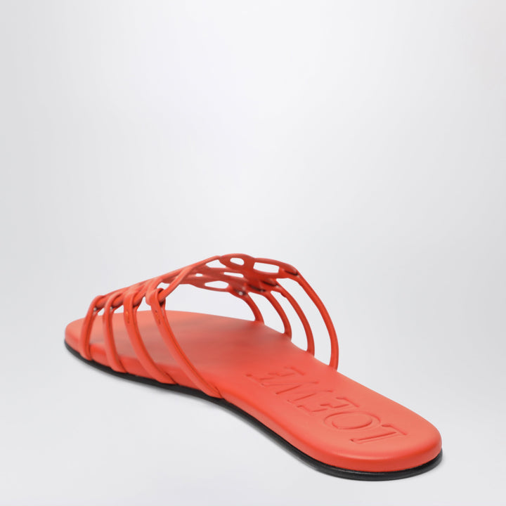 Loewe Apparel & Accessories - Orange | 9fb0420ea3e2e451b9db6b5e1739c78cb1e19a4f