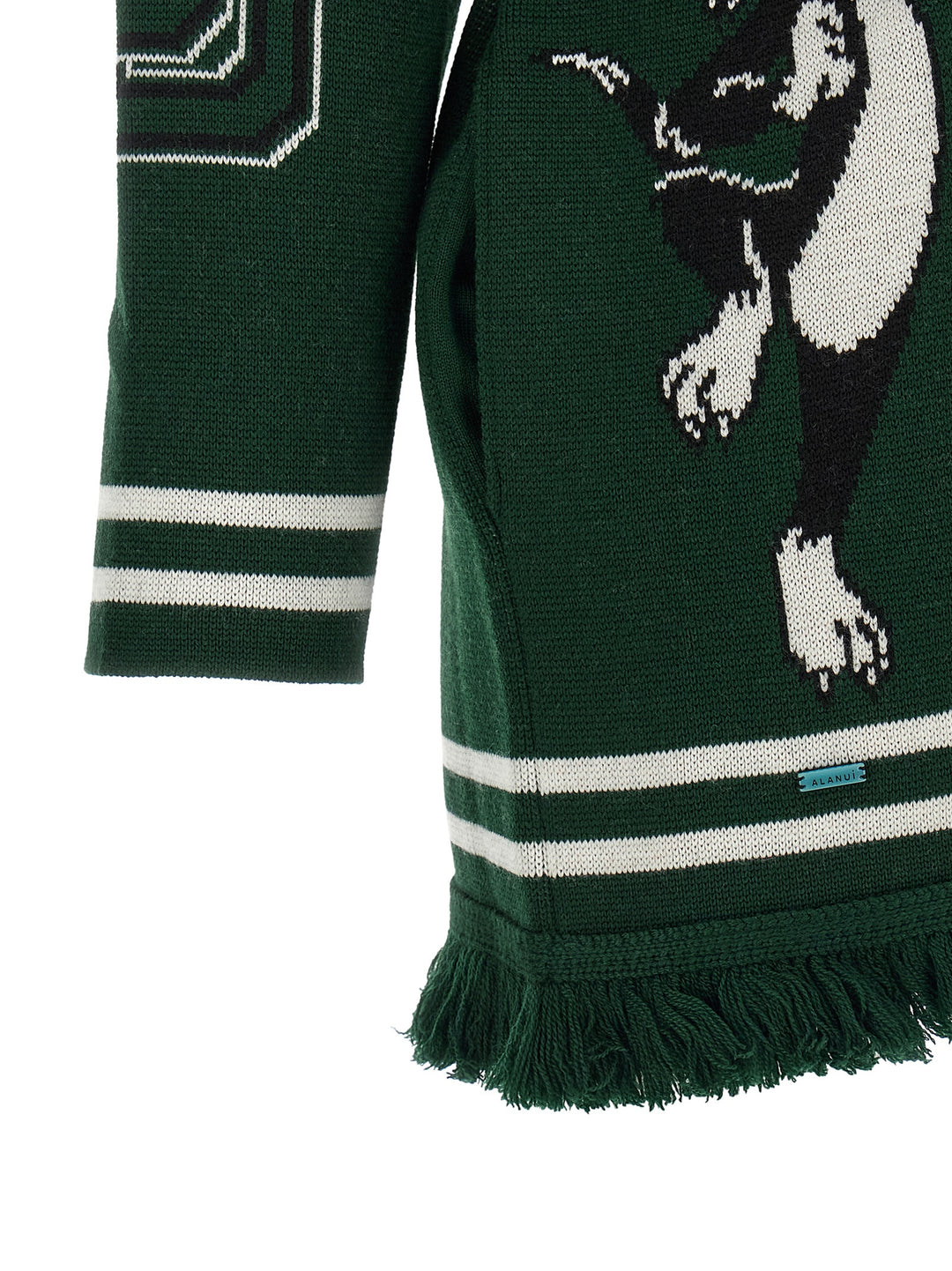 Alanui Sporty Bugs Bunny & Sylvester Sweaters and Cardigans - Green | 8daeeec2d0ca40549fc9ed2655d653c3897e6bd0