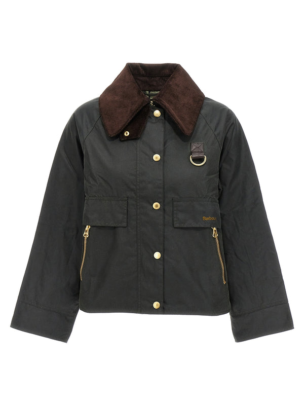 Catton Piumini, Parka, Giacche Casual Green
