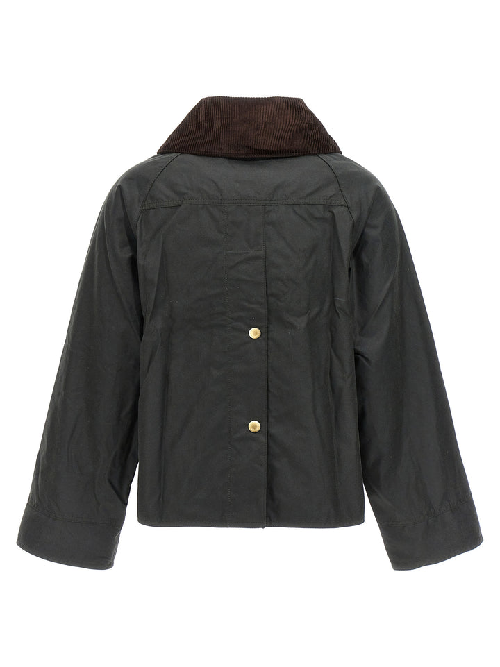 Barbour Catton Piumini, Parka, Giacche casual - Green | 939877cd0b8e4a6387d52ae43c2036e3c3760e9c