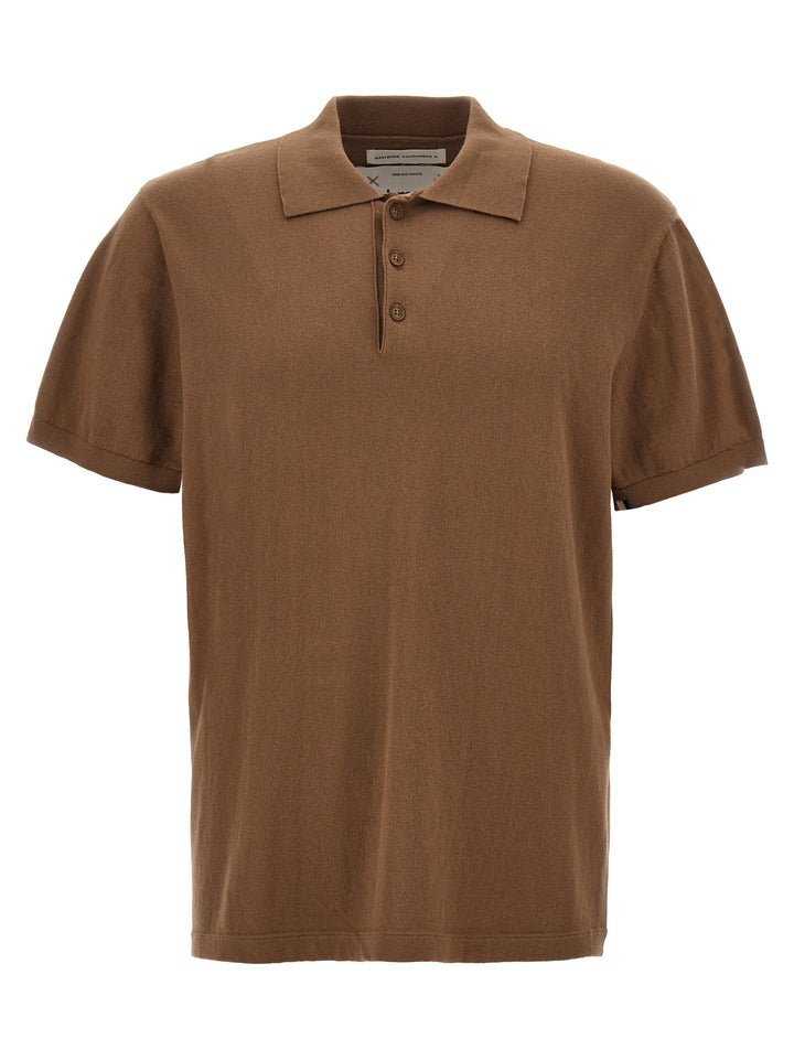 N°352 Avenue Polo Brown