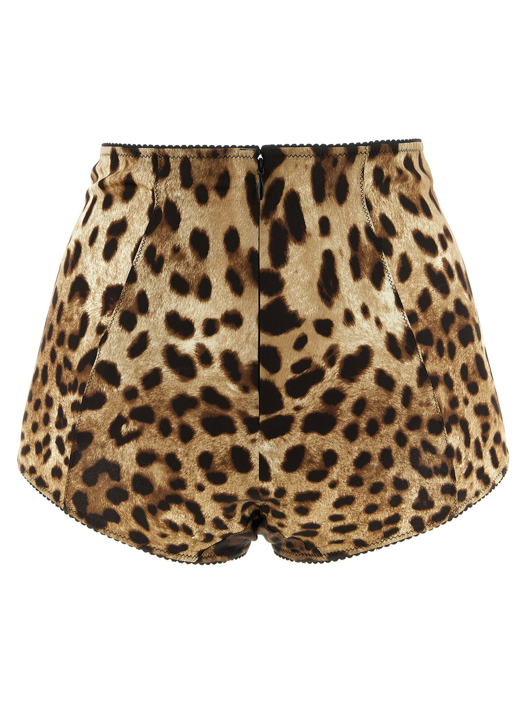 Dolce & Gabbana Leo INTIMO - Brown | 6b725750f7b80ee3f3f08f644bb2cd6ffdba7281