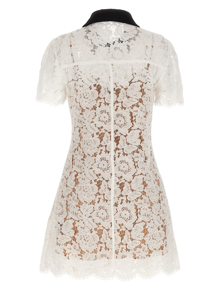 Self Portrait White Lace Contrast Collar Mini Dresses - White | 654f71631cf72778ec2616675cde49f5864b4623