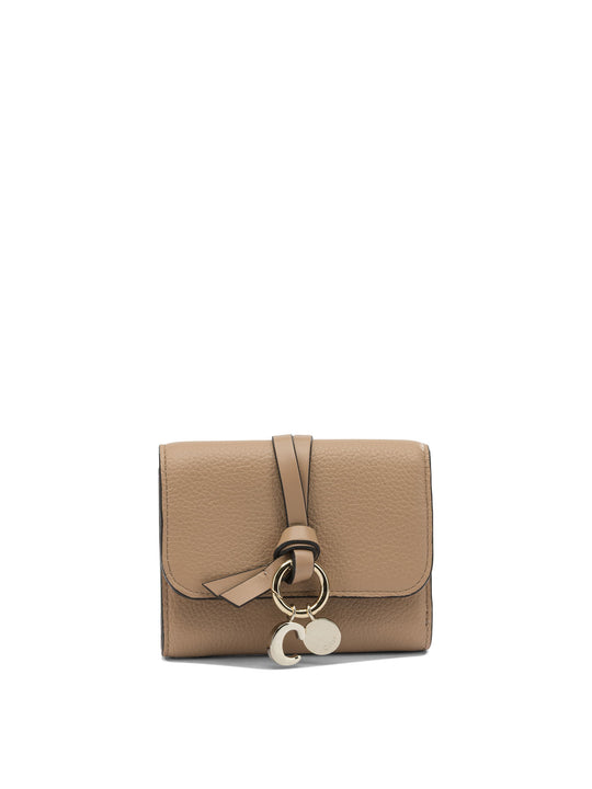 Wallets & Card Holders Beige