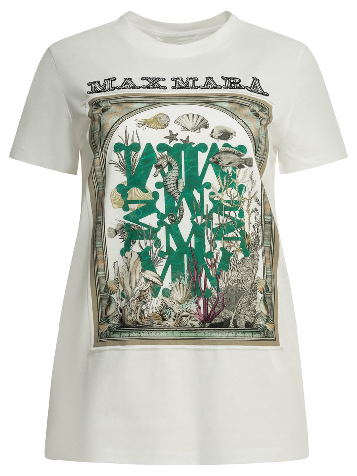 Max Mara Crew-Neck T-Shirt With Logo T-shirts - White | 7bcc87a505d472281d87e18219cd4234b398a703