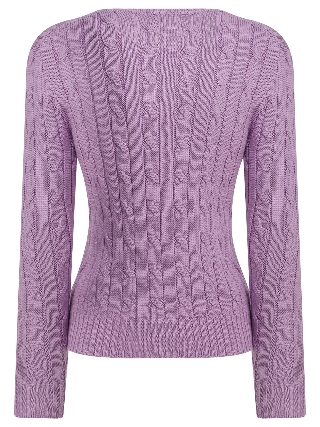Polo Ralph Lauren Crew-Neck Sweater With Logo Knitwear - Purple | 91c2a93c2fdb149246c7771fa75f9459c392596e