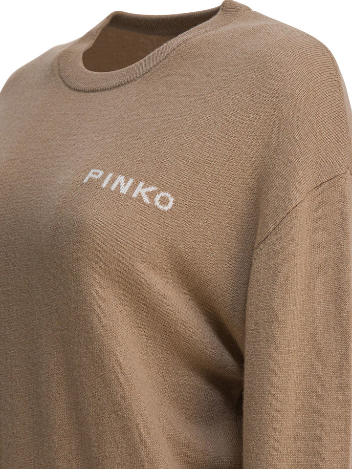 Pinko  Knitwear - Brown | 22c8dac87c050ca5e409f035b69497e94593f816