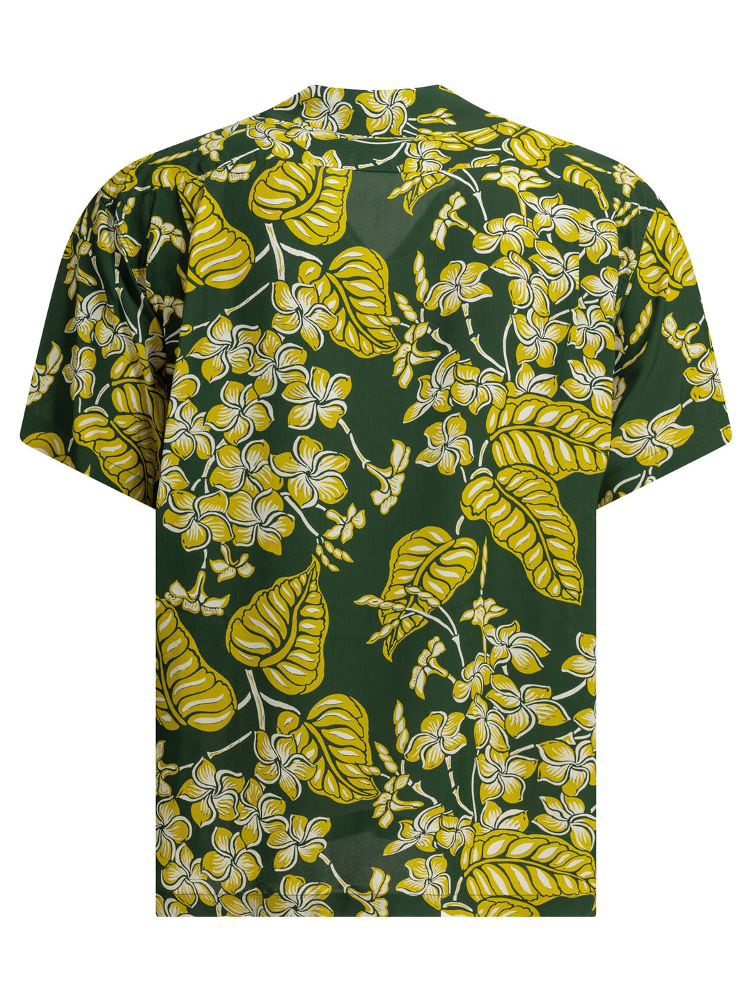 Sun Surf Plumeria Blossoms Shirts - Green | ad26464fade504920ec0ac6eca44e7f36727826f