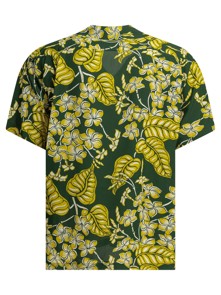 Sun Surf Plumeria Blossoms Shirts - Green | ad26464fade504920ec0ac6eca44e7f36727826f