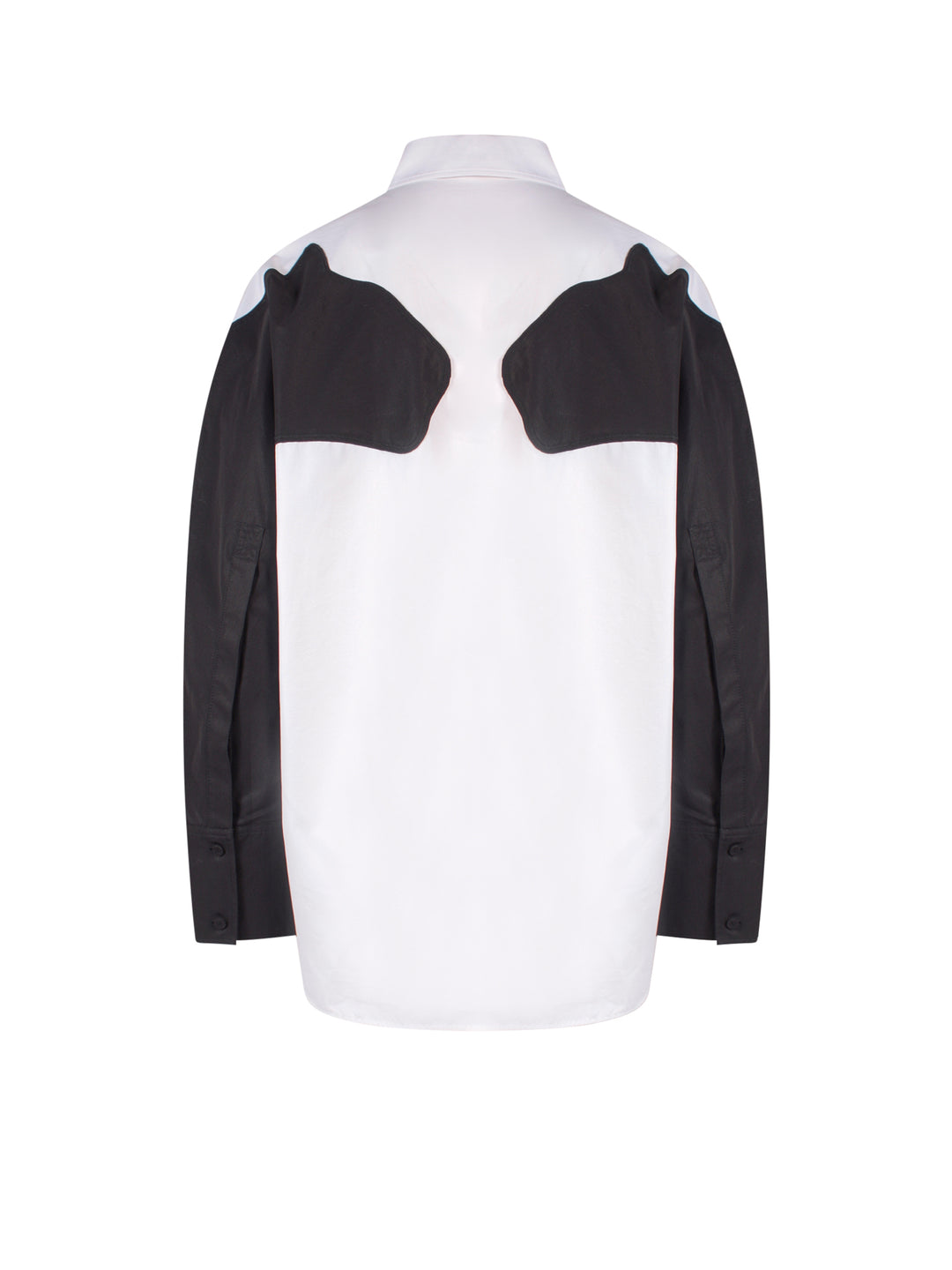 Cotton shirt with contrasting sleeves