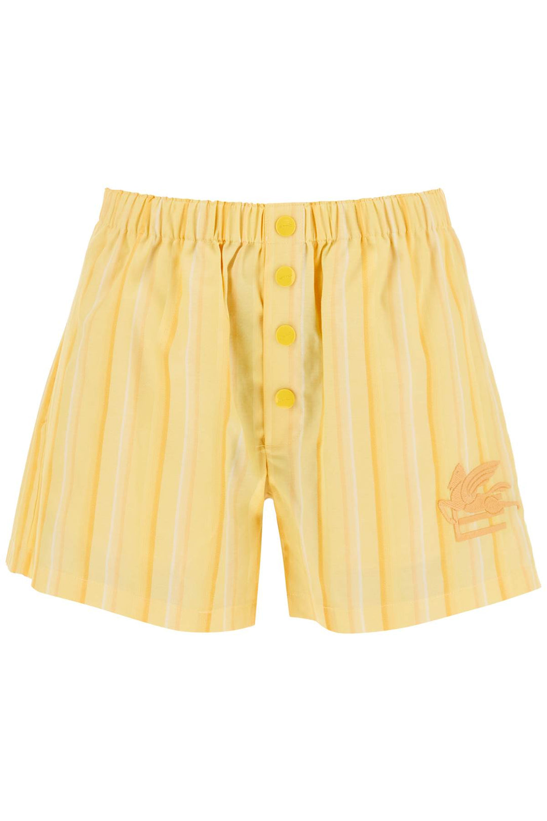 Striped Shorts With Logo Embroidery - Etro - Women