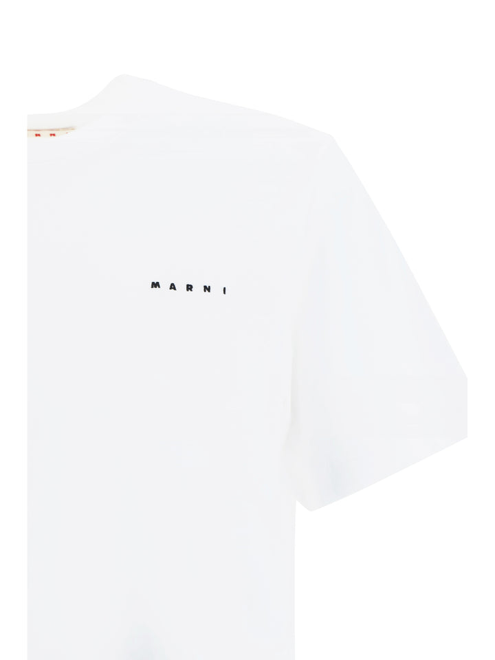 Cotton t-shirt with embroidered logo