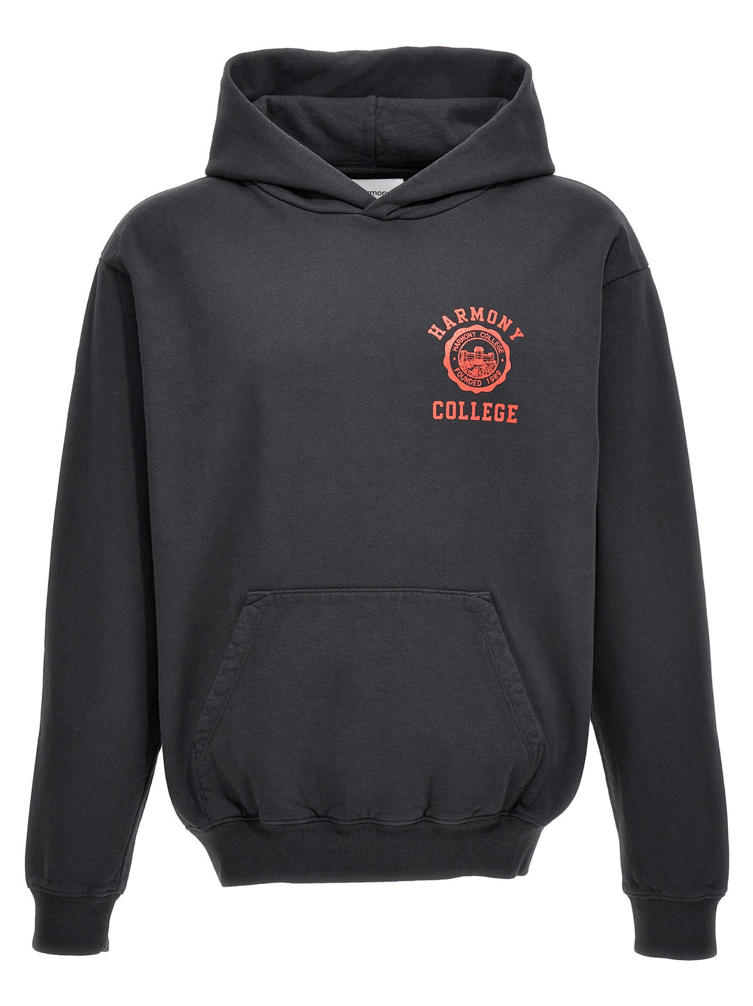 Sany College Emblem Sweatshirt Gray