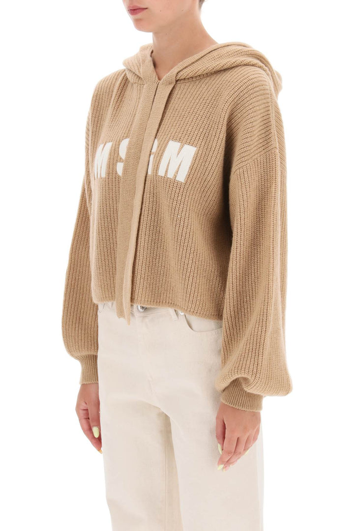 Knitted Hoodie In Wool And Cashmere With Logo Embroidery - MSGM - Women