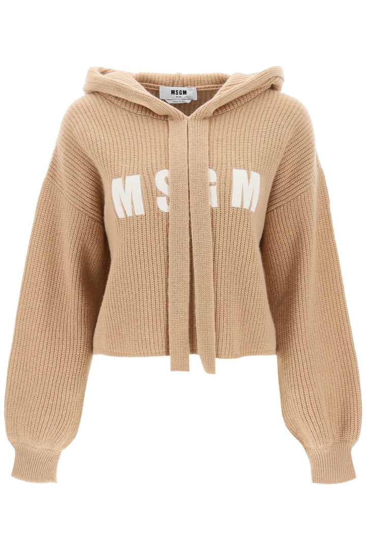 Knitted Hoodie In Wool And Cashmere With Logo Embroidery - MSGM - Women