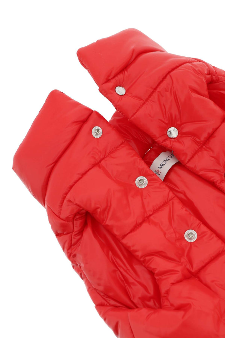 Dog Down Vest - Moncler X Poldo - CLT