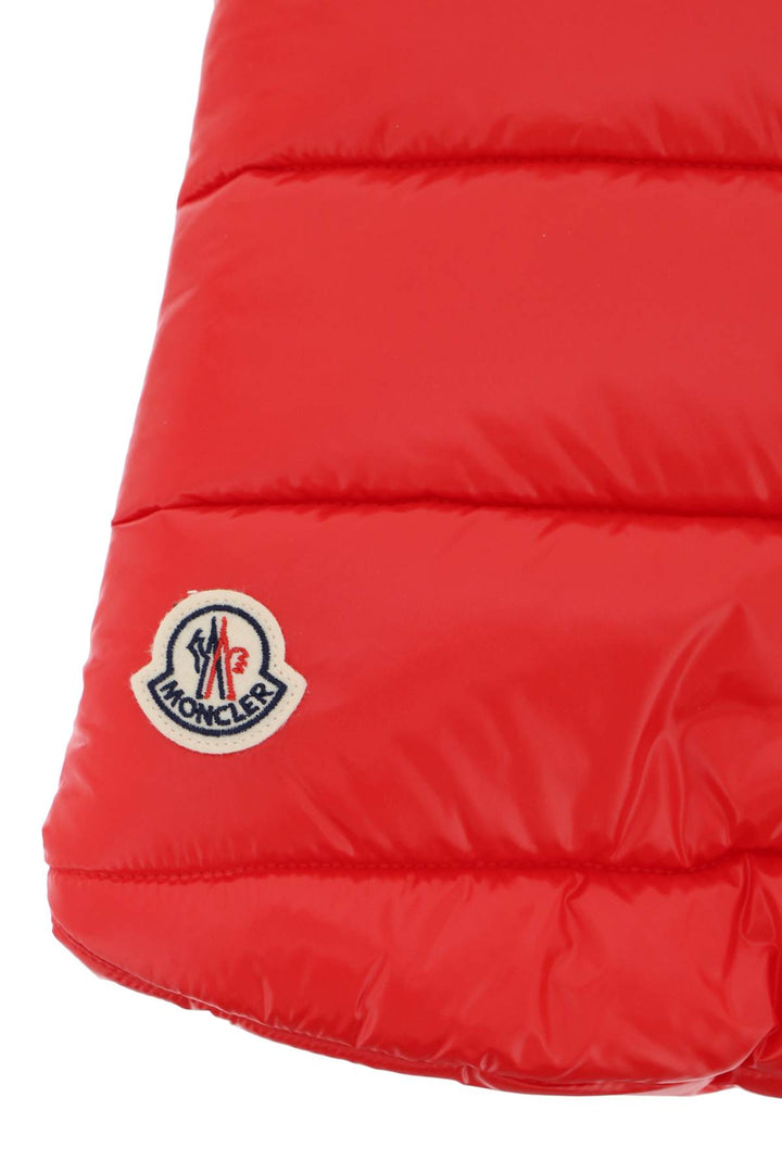 Dog Down Vest - Moncler X Poldo - CLT