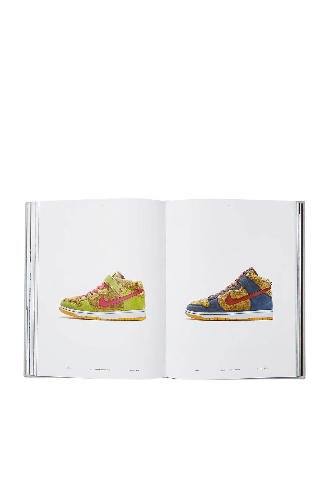 Nike Sb: The Dunk Book - New Mags - CLT