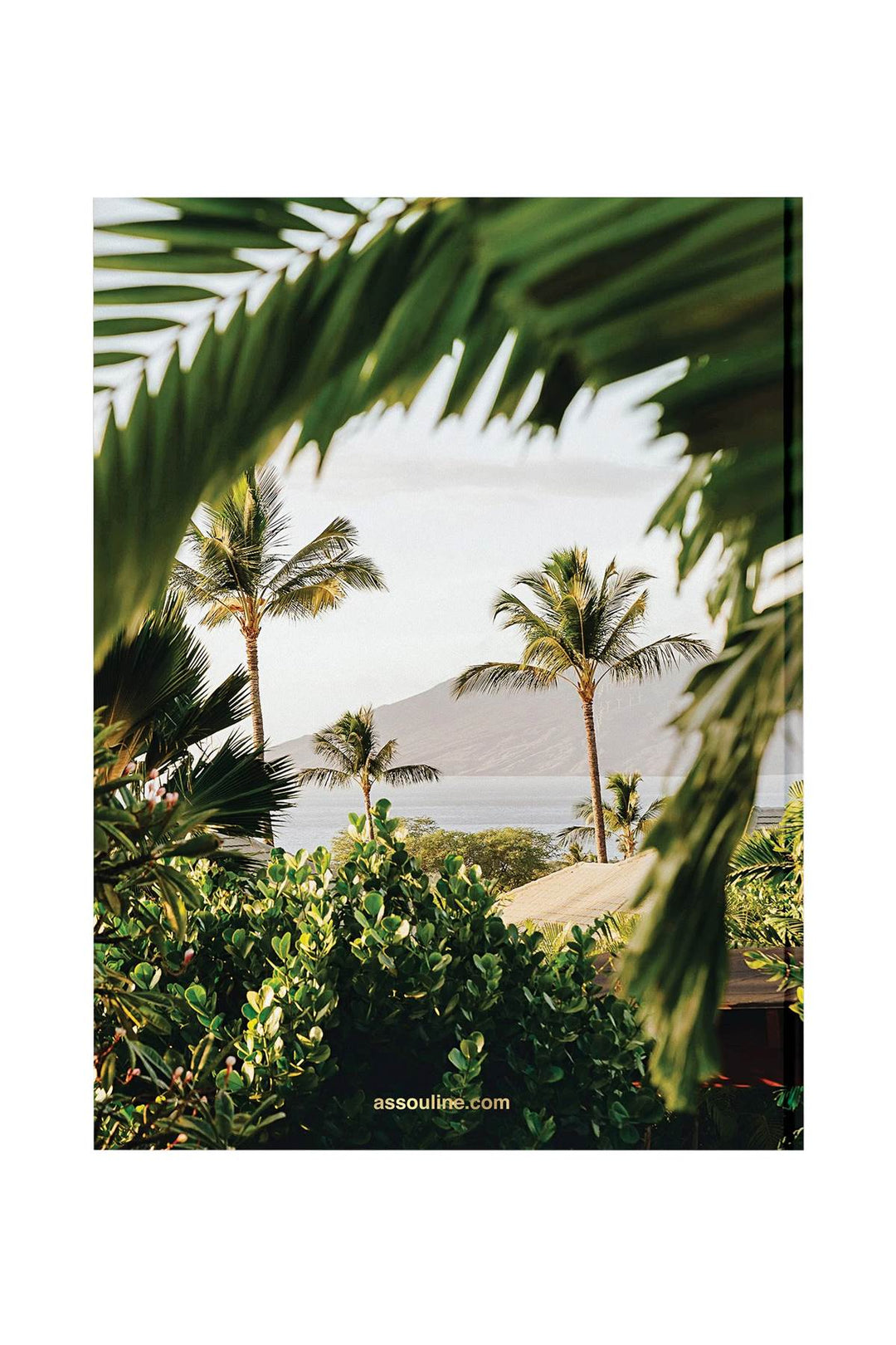 Hotel Wailea - Assouline - CLT