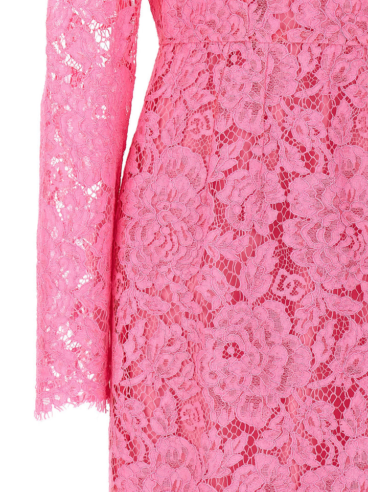 Lace Sheath Dress Dresses Pink