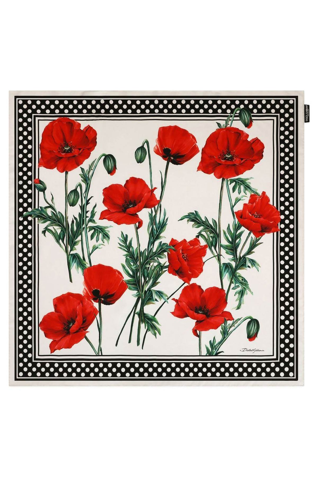 Camellia Print Scarf - Dolce & Gabbana - Women