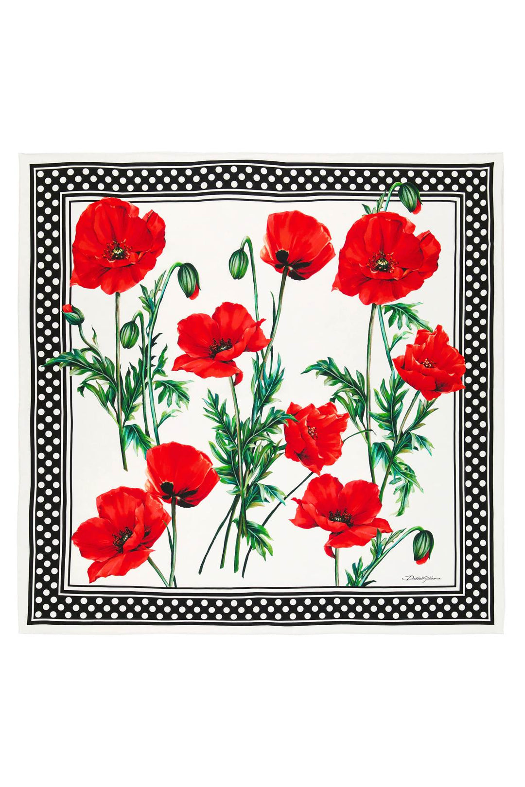 Camellia Print Scarf - Dolce & Gabbana - Women