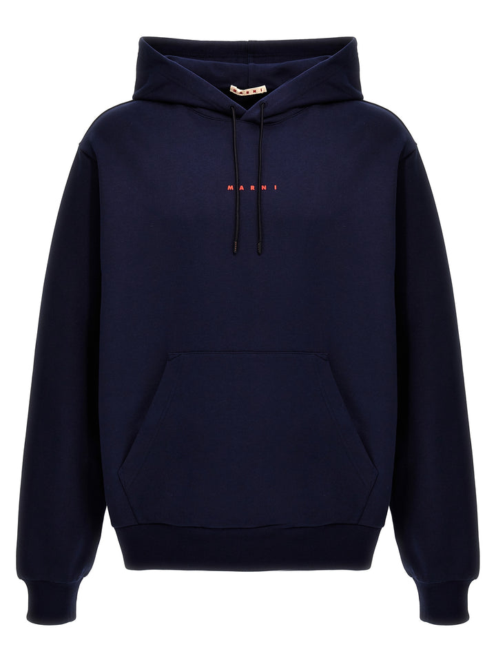 Logo Print Hoodie Sweatshirt Blue