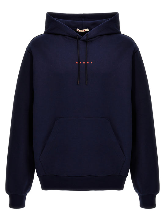 Logo Print Hoodie Sweatshirt Blue