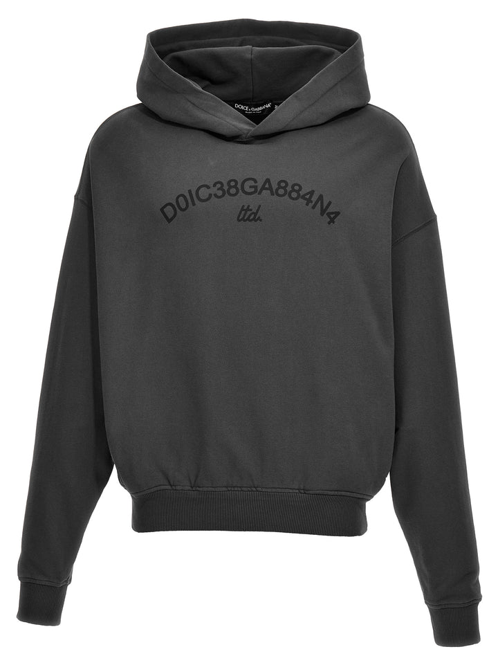 Logo Print Hoodie Sweatshirt Gray