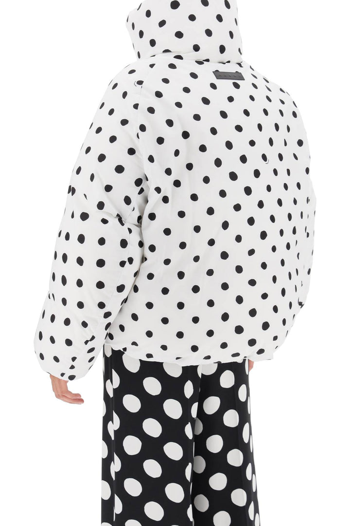 Polka Dot Puffer Jacket - Marni - Women