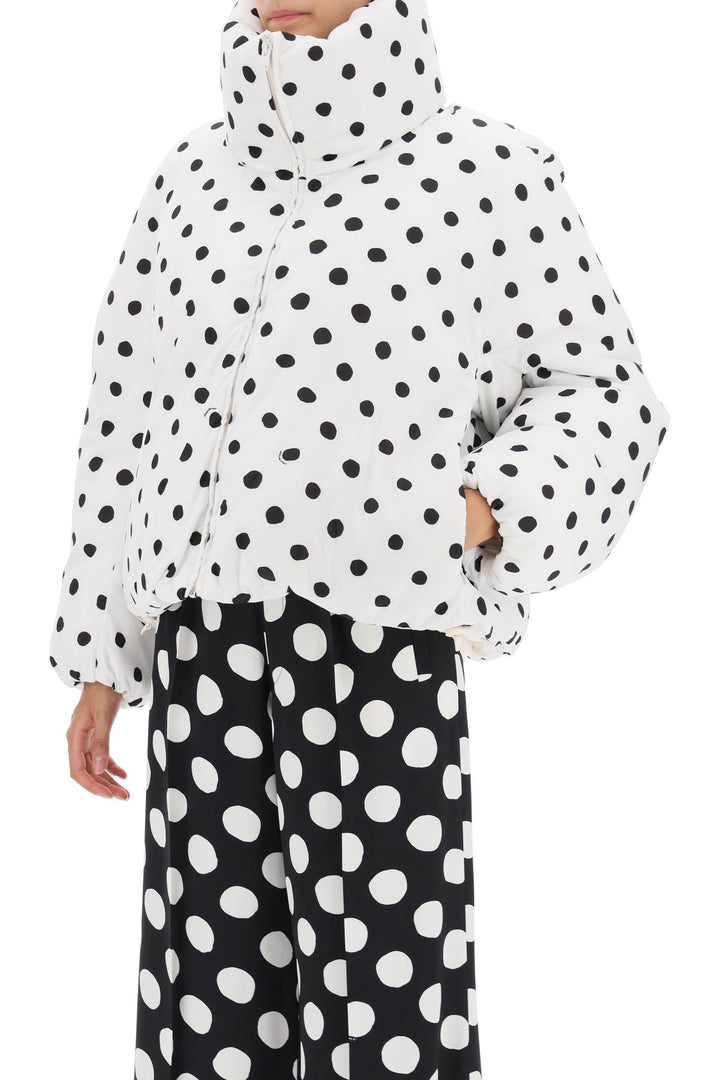 Polka Dot Puffer Jacket - Marni - Women