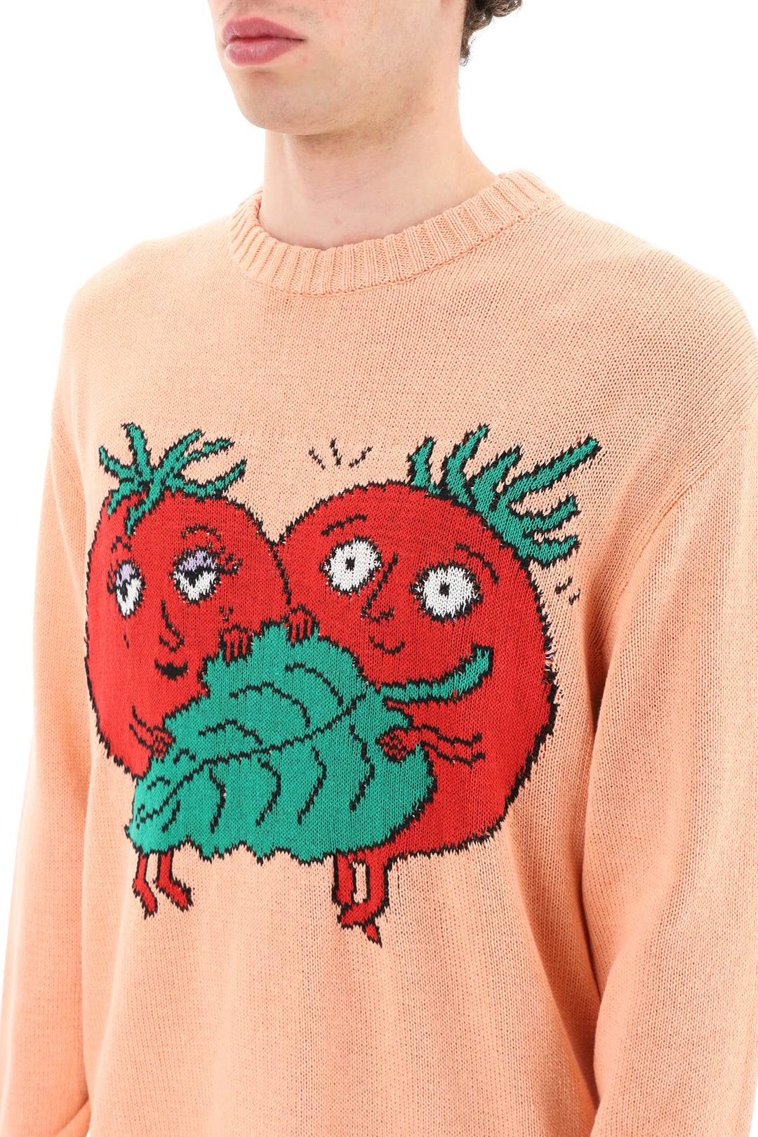 'Happy Tomatoes' Cotton Sweater - Sky High Farm - Men